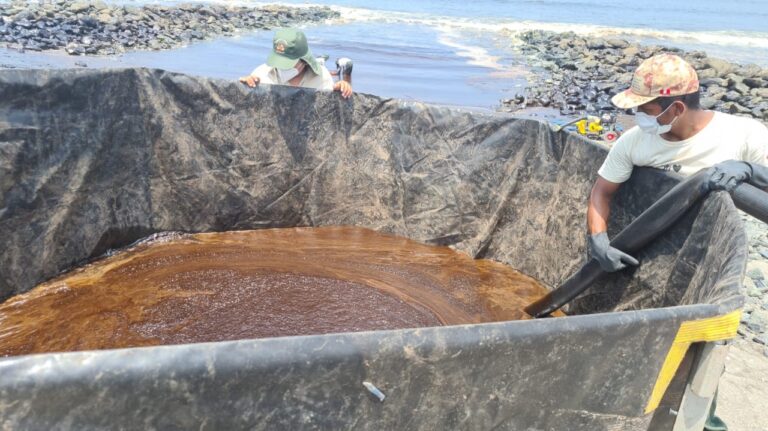 Lee más sobre el artículo Análisis: Derrame de más de 11 mil barriles de petróleo en el mar contamina fauna, playas y áreas protegidas en Perú
