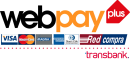 webpay-transparente-real-Ledsolar_globestore